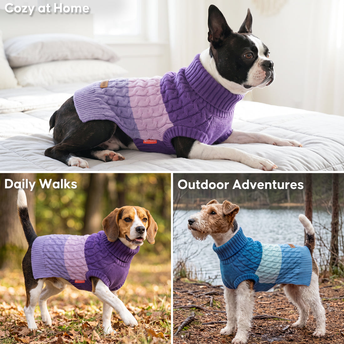 Purple Color Block Dog Pullover Sweater gallery image 7