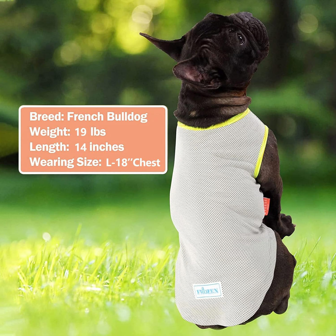 Dog cooling shirt in light gray/white mesh with neon green trim and chest patch.