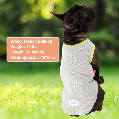 Dog cooling shirt in light gray/white mesh with neon green trim and chest patch.