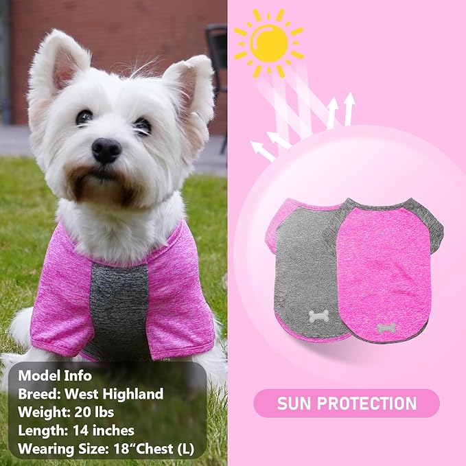 Lightweight dog raglan shirt in heather pink and gray with bone applique on back hem