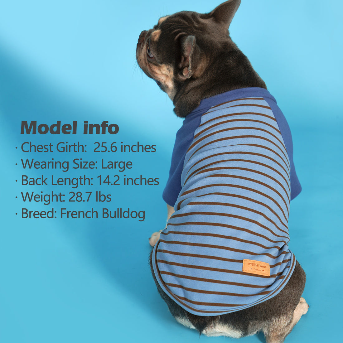 Blue and tan striped dog raglan shirt with label on side seam