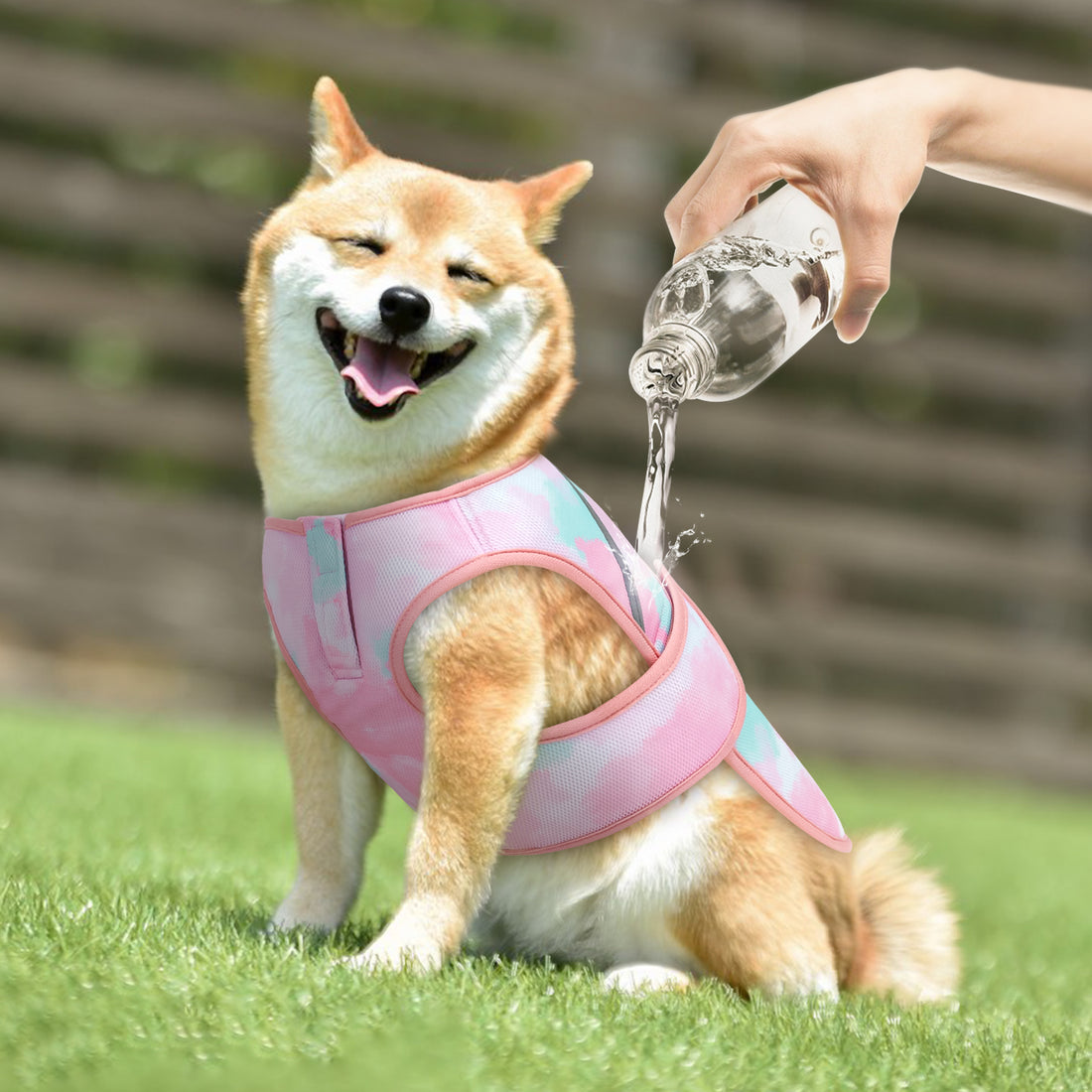 Lightweight mesh cooling dog vest in pink as water is poured over the mesh