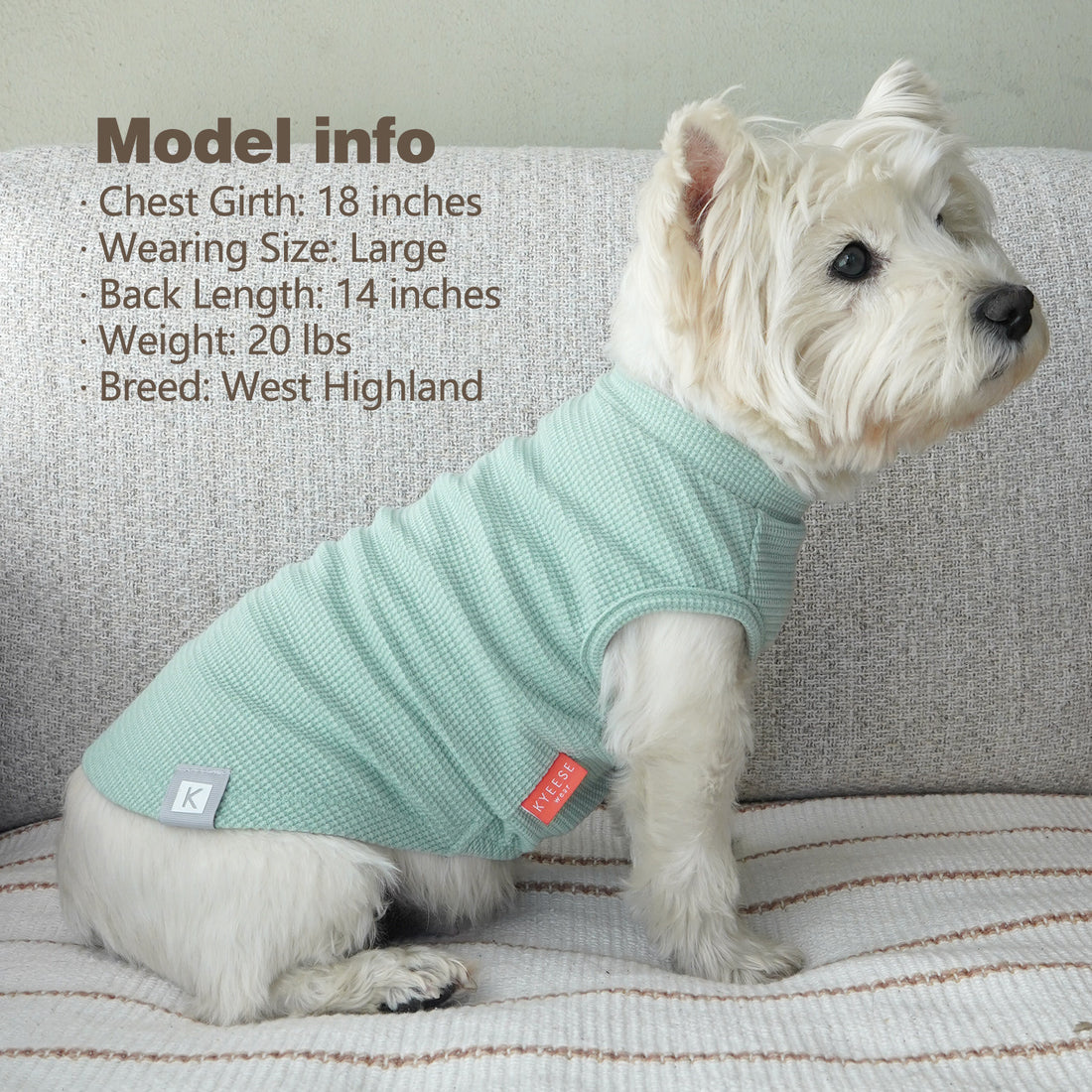 Waffle-knit dog shirt, mint green on small dog with open belly for movement