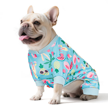 Light blue dog onesie pajamas with colorful fruit pattern and ribbed leg openings