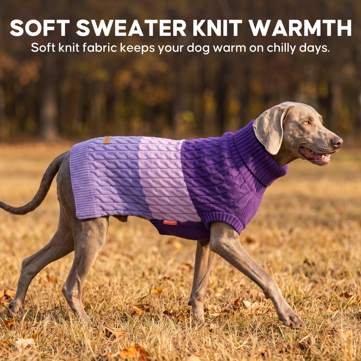 Purple Color Block Dog Pullover Sweater gallery image 8