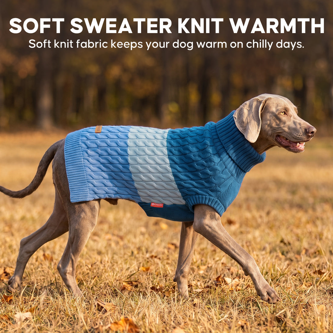 Blue Color Block Dog Pullover Sweater gallery image 7