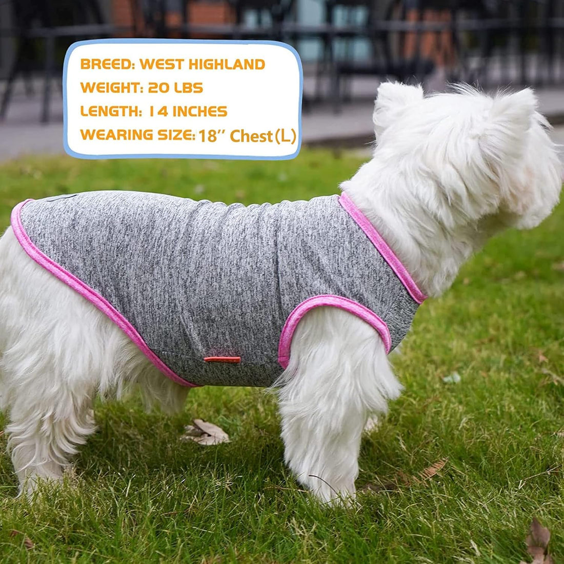 Heather gray sleeveless dog shirt with bright pink trim and reflective bone