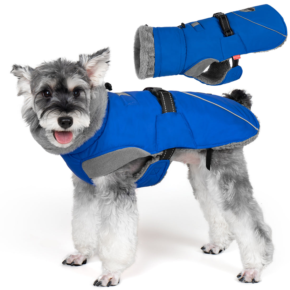 Blue fleece-lined dog coat with gray collar and front chest strap