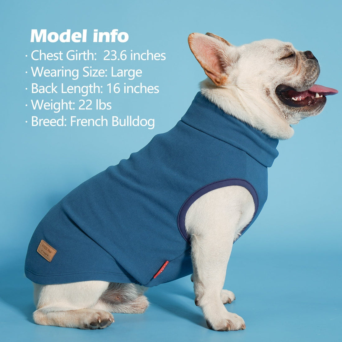 Teal sleeveless dog turtleneck sweater on a French bulldog, belly opening