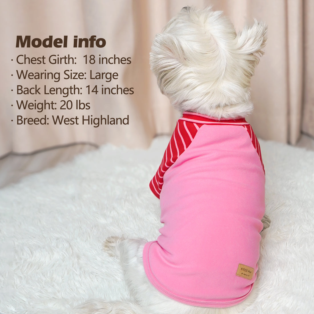 Pink dog shirt with red striped yoke and stretchy belly panel; back view