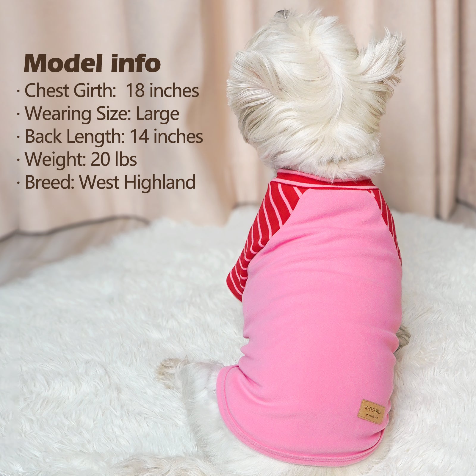 Pink dog shirt with red striped yoke and stretchy belly panel; back view