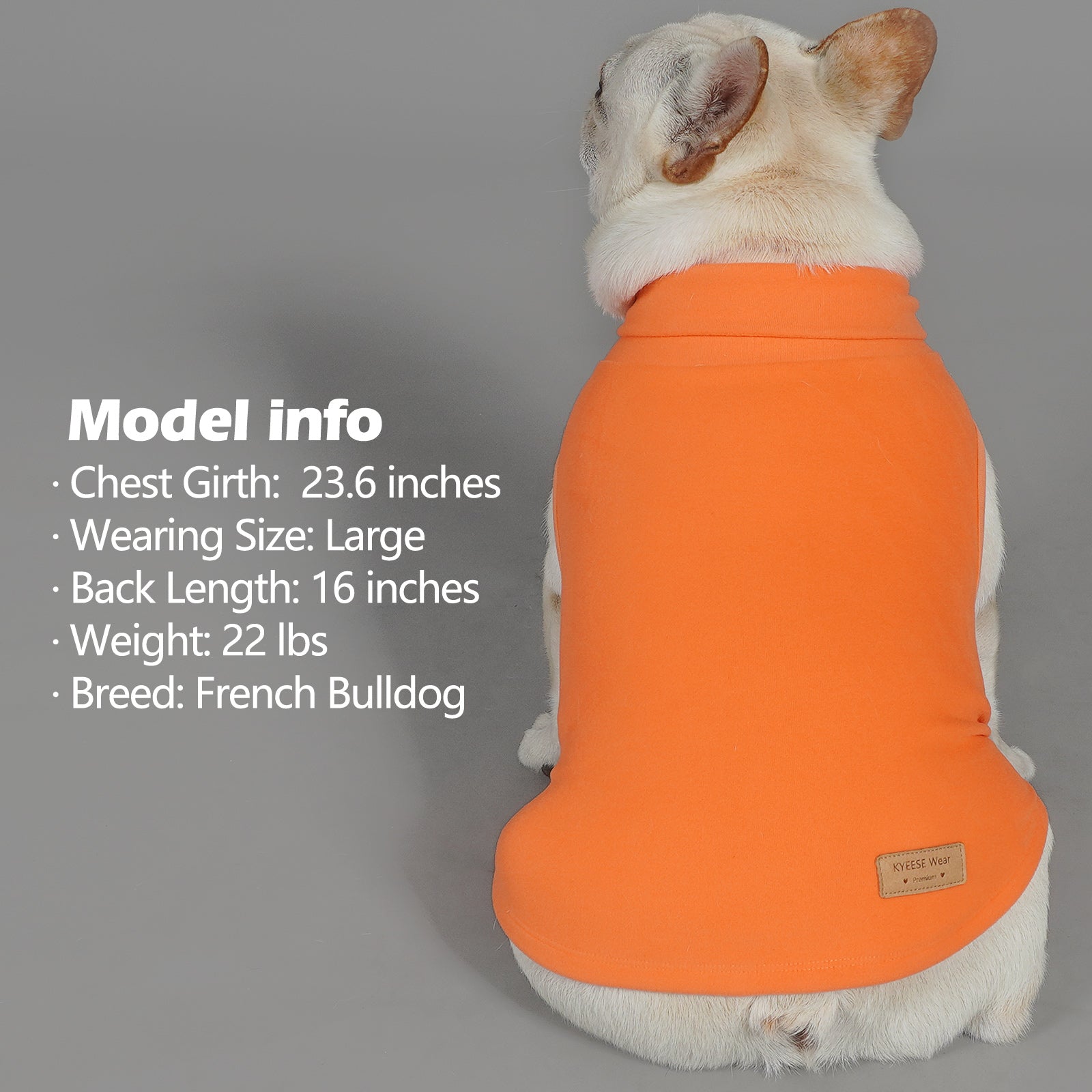 Dog sleeveless velvet sweater with solid orange body and turtleneck collar