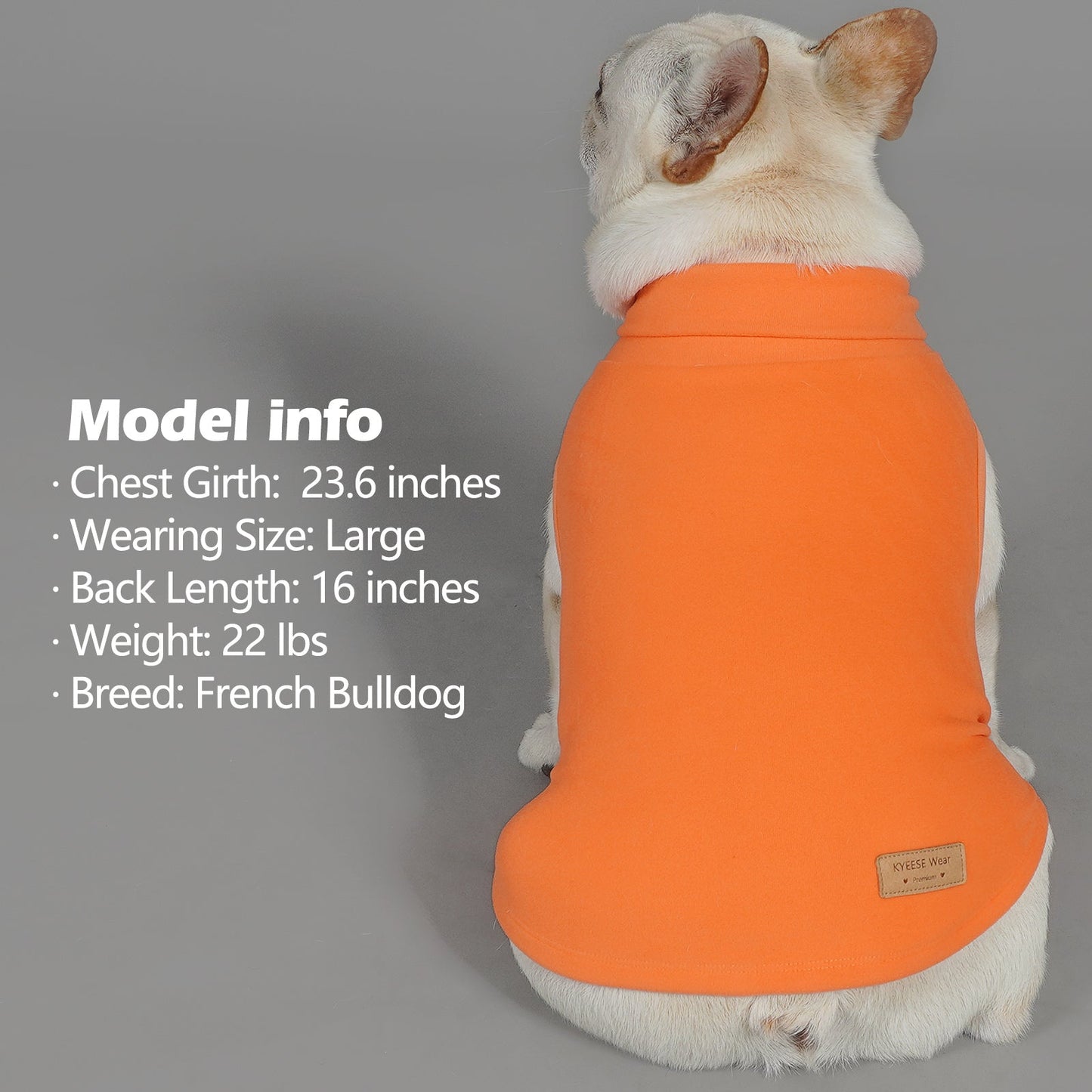 Dog sleeveless velvet sweater with solid orange body and turtleneck collar