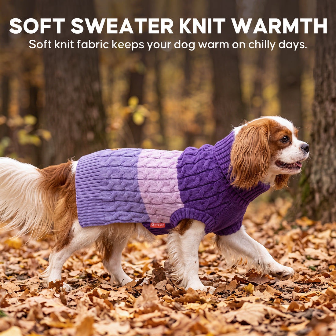 Purple Color Block Dog Pullover Sweater gallery image 9