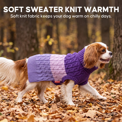 Purple Color Block Dog Pullover Sweater gallery image 9