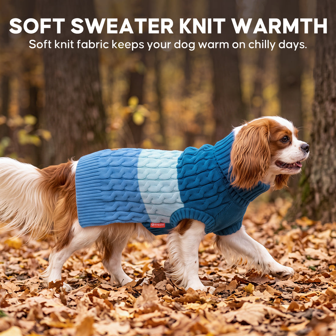 Blue Color Block Dog Pullover Sweater gallery image 8