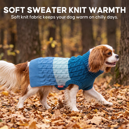 Blue Color Block Dog Pullover Sweater gallery image 8