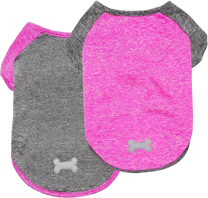 Lightweight dog raglan shirt 2-pack: heather pink and gray with bone applique, short sleeves
