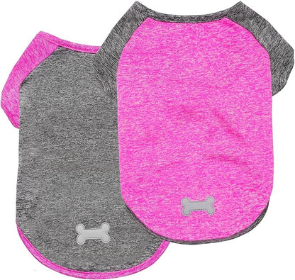 Lightweight dog raglan shirt 2-pack: heather pink and gray with bone applique, short sleeves