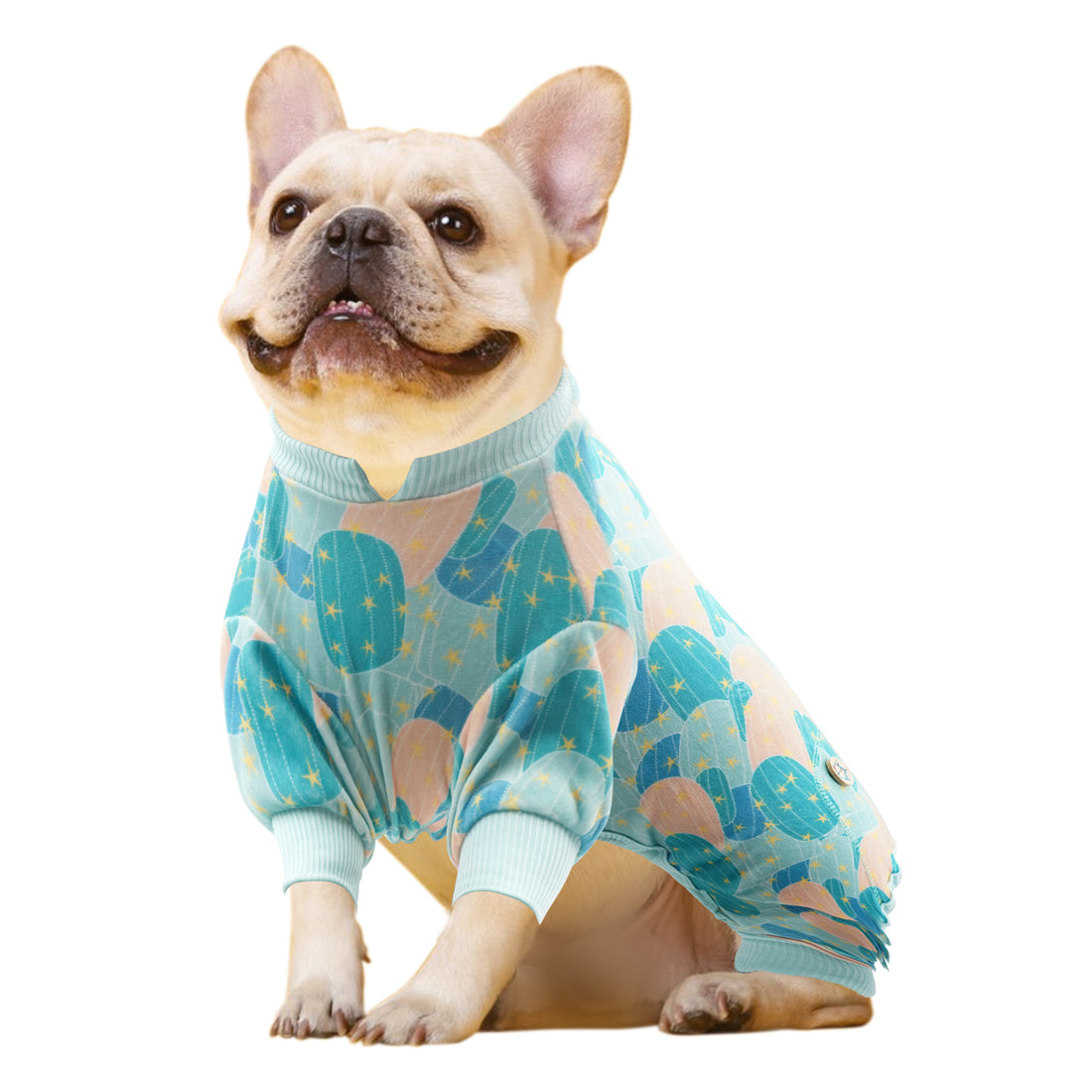 Turquoise dog onesie pajama with cactus-pattern print and ribbed cuffs
