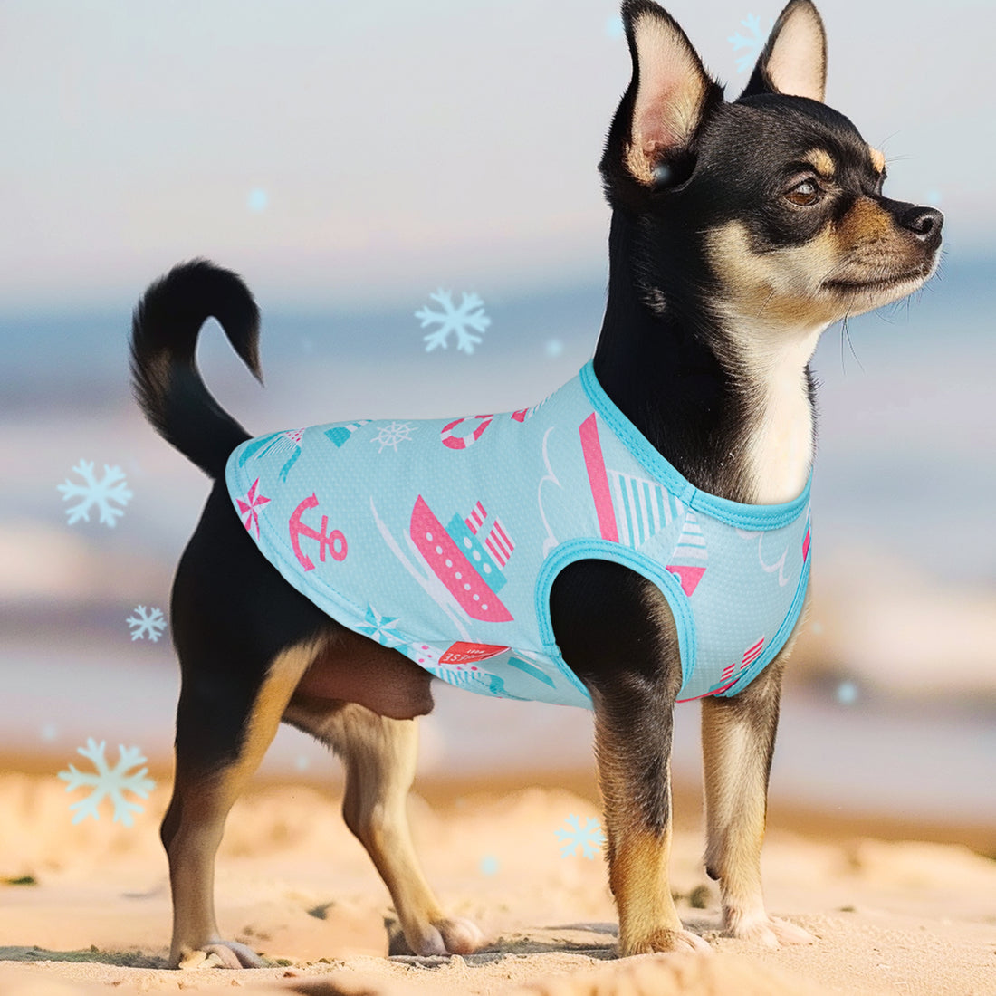Dog cooling shirt in light blue with pink novelty print and neon trim, chest label visible.
