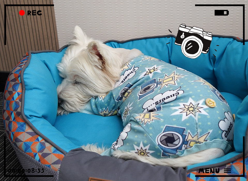 Blue dog onesie pajama with duck, camera icons, and elastic leg opening