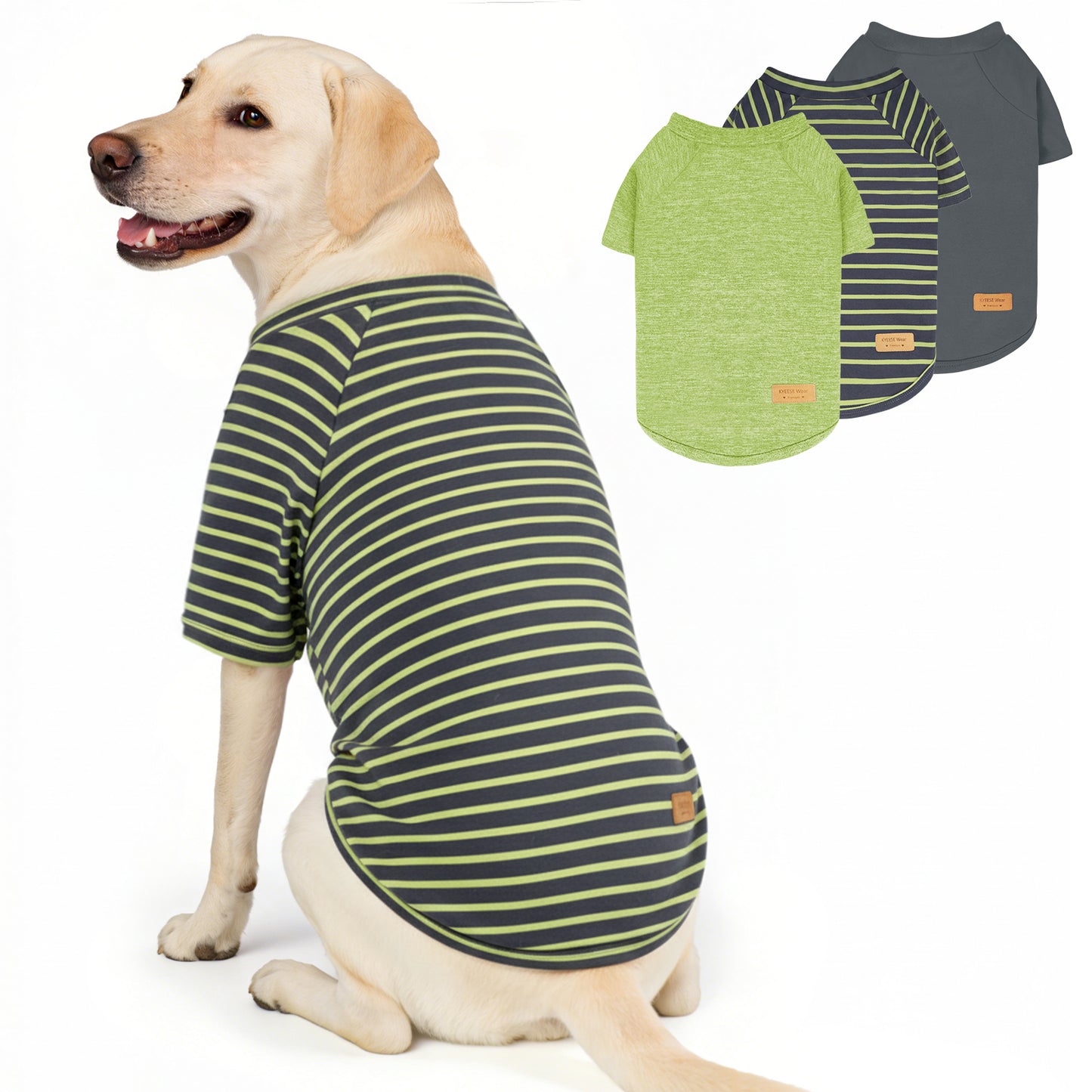 Raglan Sleeve Breathable Dog Shirt 3 Pack