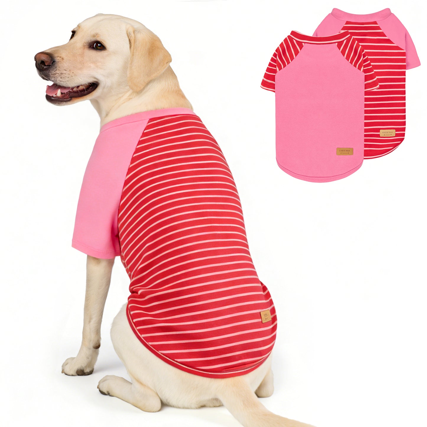 Raglan Sleeve Breathable Dog Shirt 3 Pack