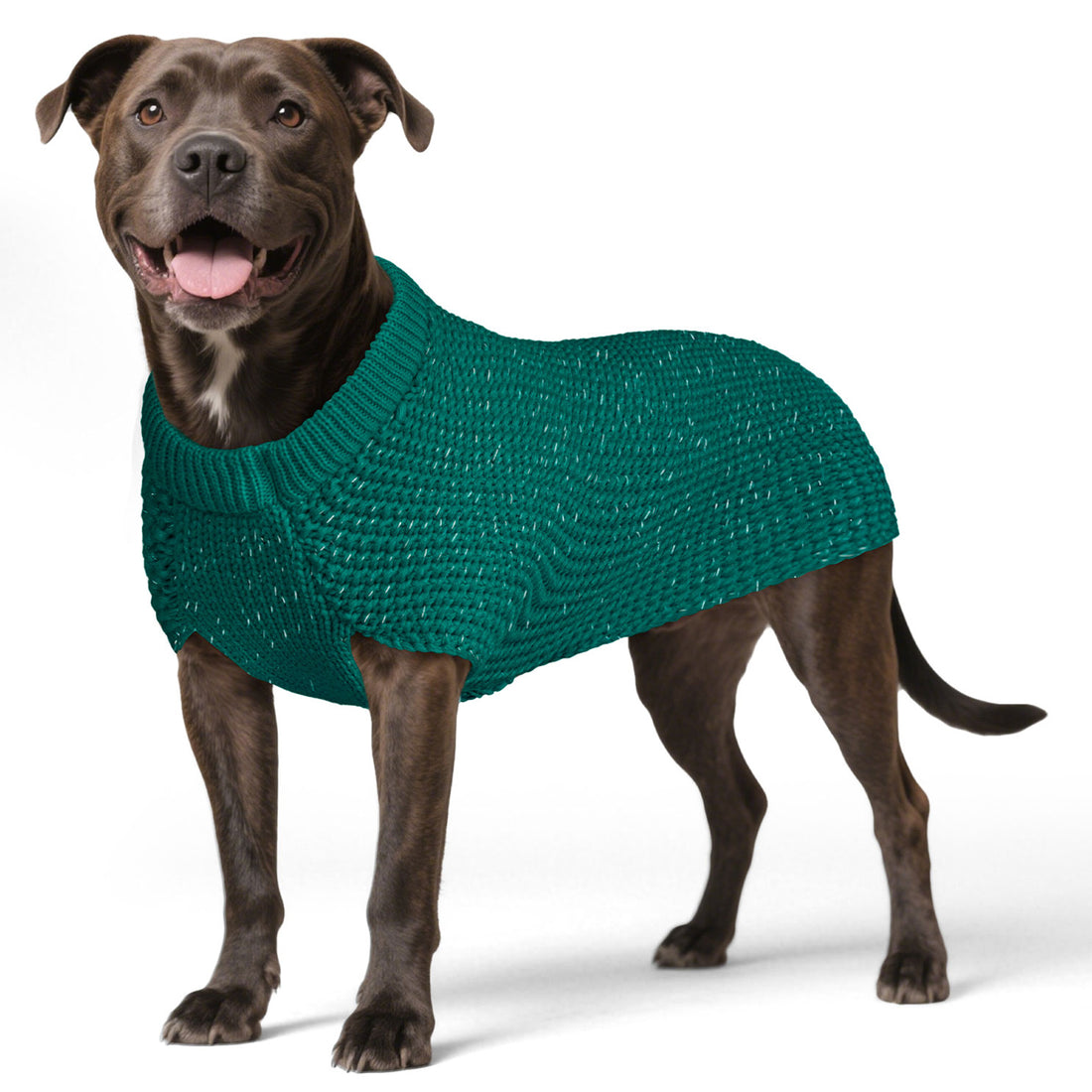 Green knit dog sweater with ribbed round neck and textured reflective threads