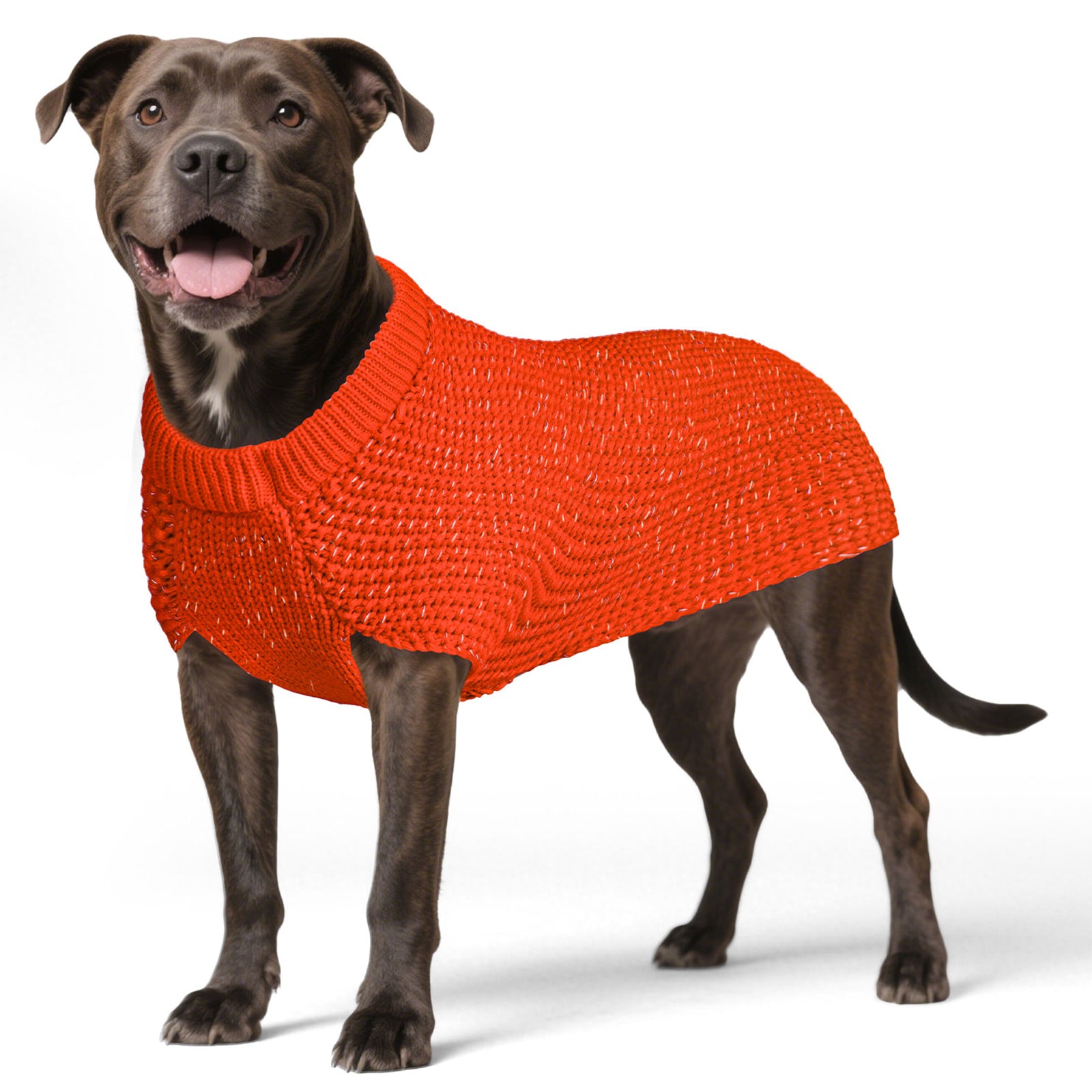 Orange dog sweater on medium dog, ribbed round neck and textured knit body