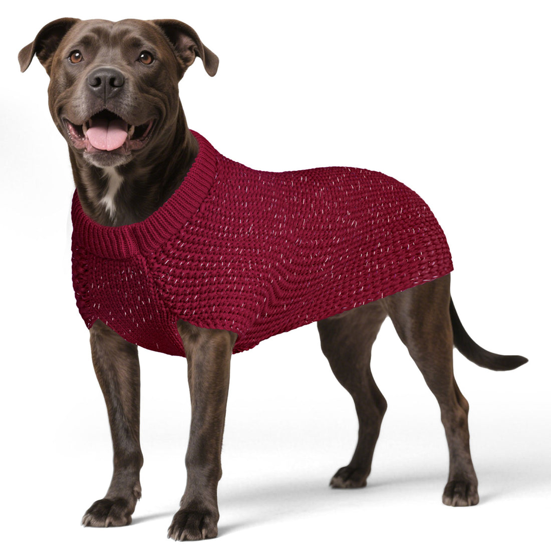 Hunter-style reflective dog sweater in deep red knit, dog wearing it with round neck