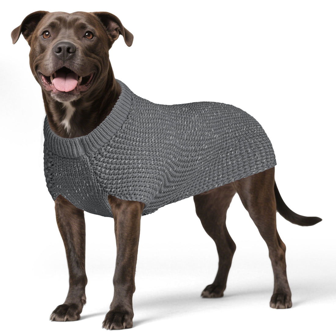 Grey dog sweater on medium dog, ribbed round neck and textured knit body