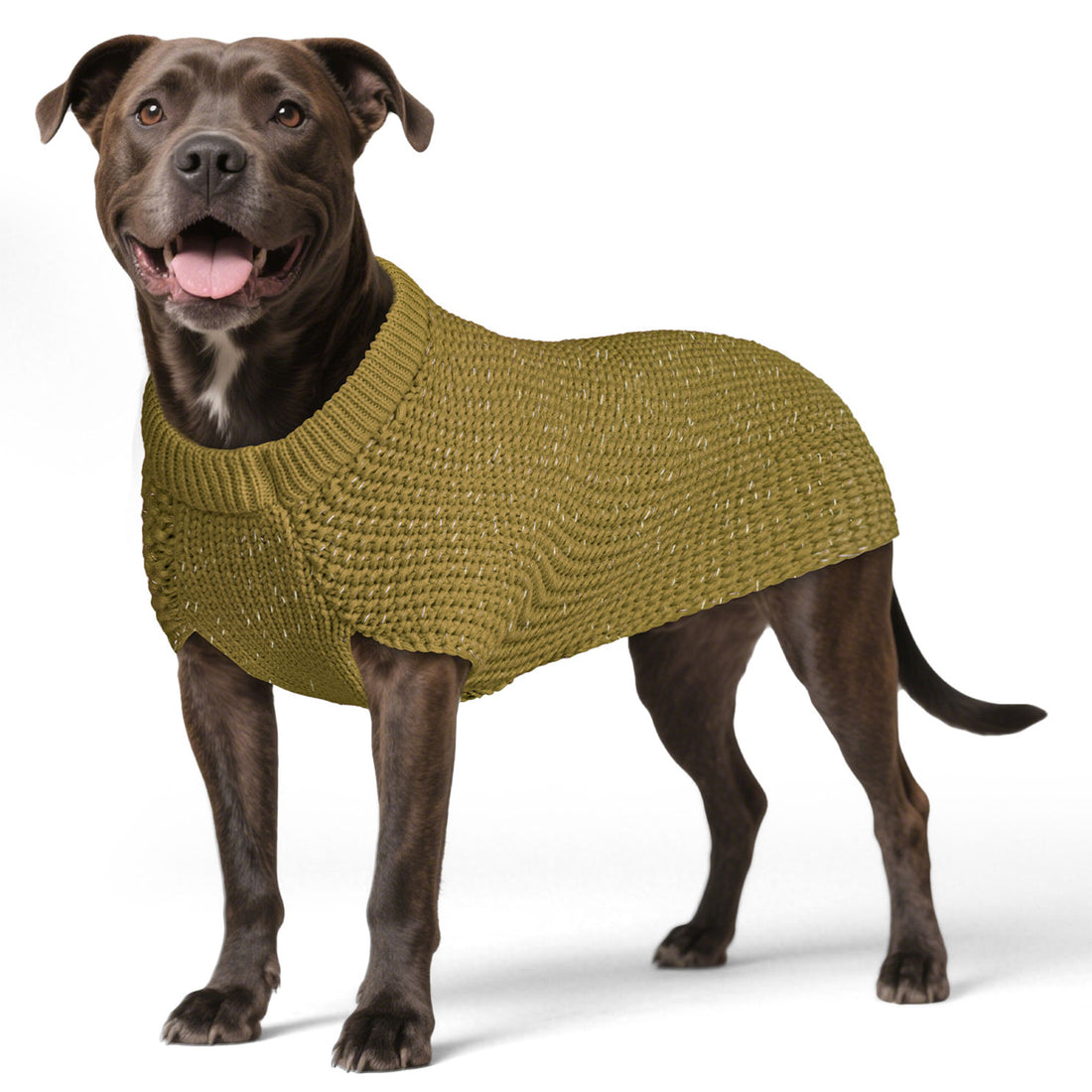 Olive knit dog sweater with round neck and small patch, worn by a standing dog