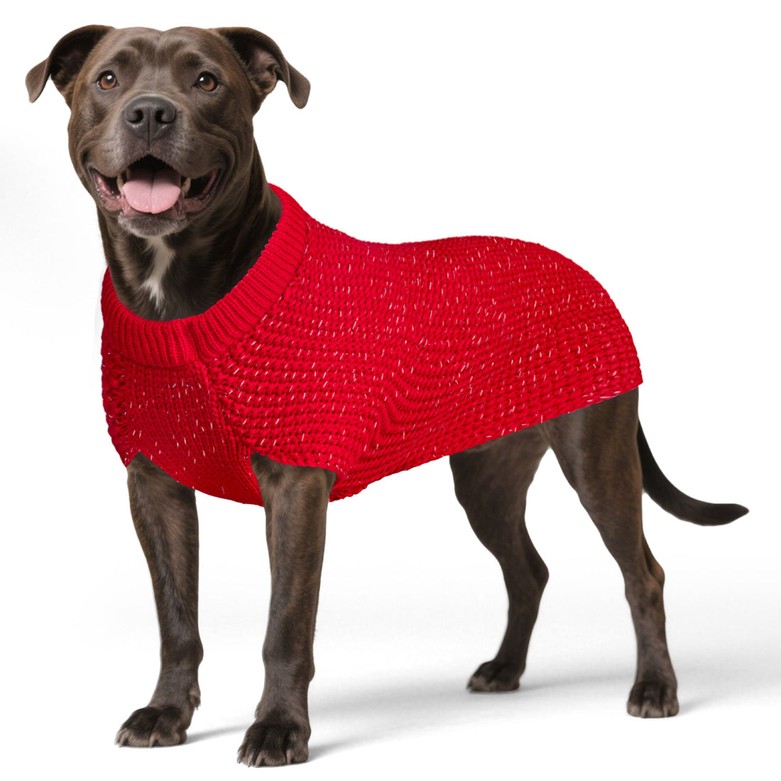 Hunter-style reflective dog sweater in red knit with round neck, dog wearing it