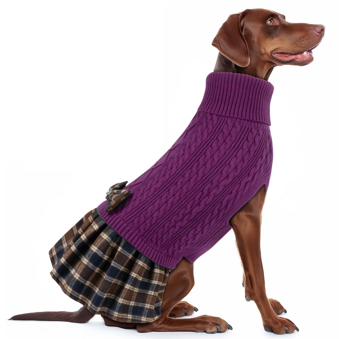 Purple cable knit dog sweater with turtleneck, plaid skirt, and brown plaid bow
