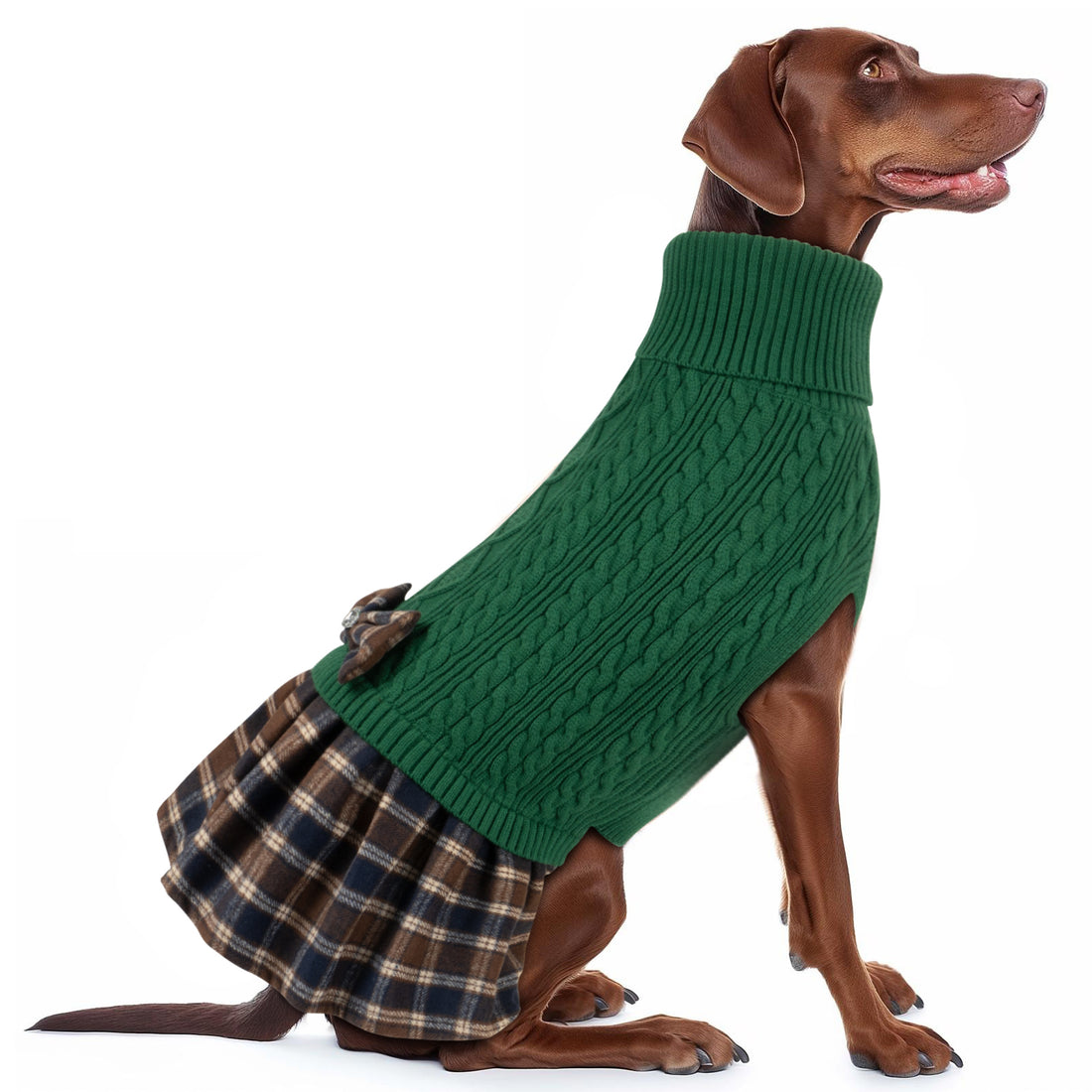 Green cable knit dog sweater with turtleneck, plaid skirt, and plaid bow accent