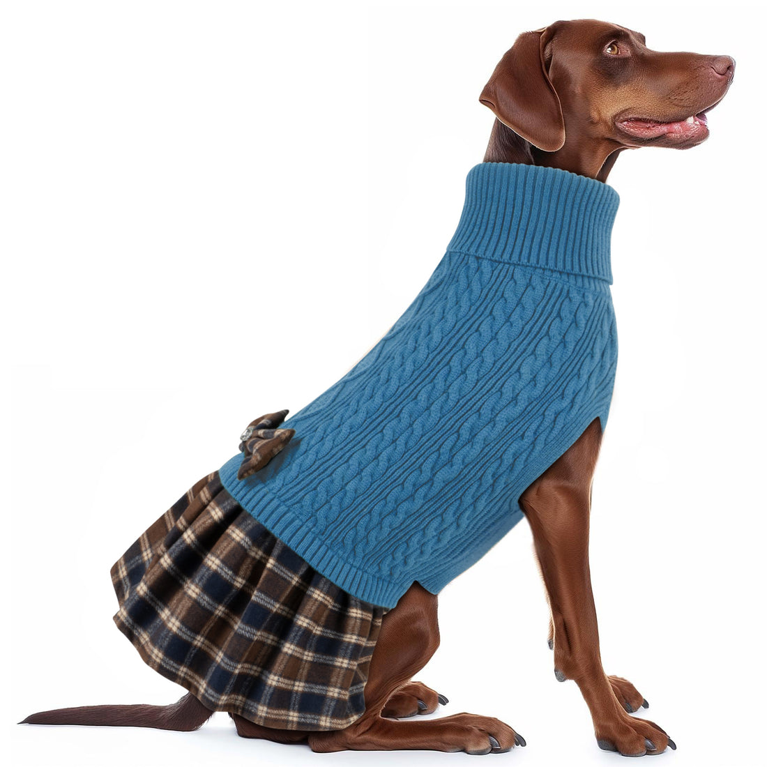 Blue cable knit dog sweater with turtleneck, plaid ruffle hem, and bow accent