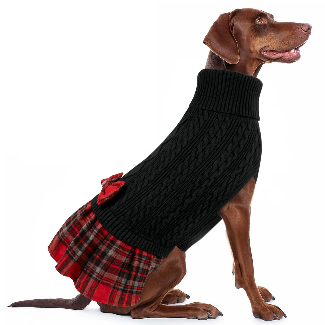 Black cable knit dog sweater with turtleneck and red plaid skirt