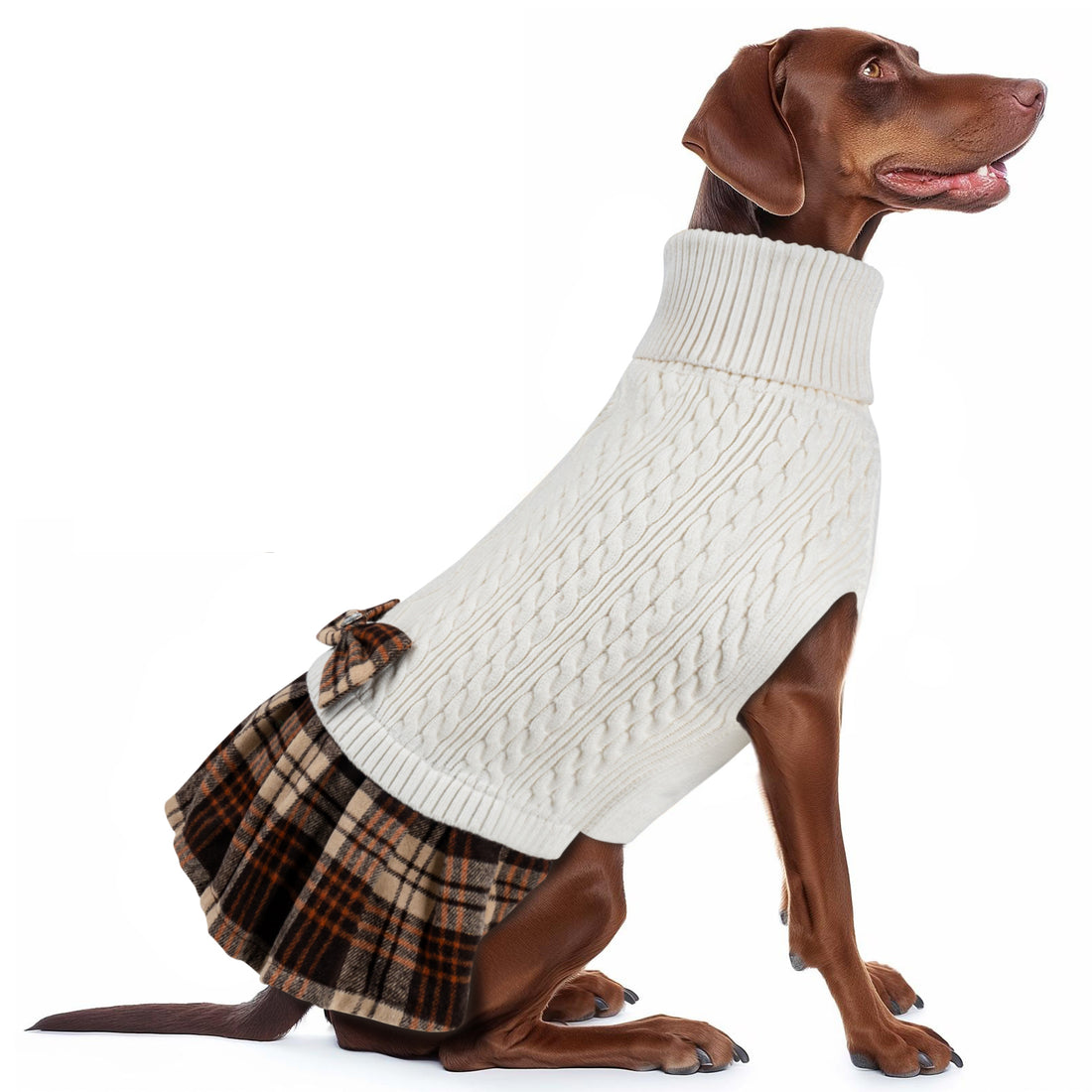 Cream cable knit dog sweater with turtleneck and brown plaid bow skirt