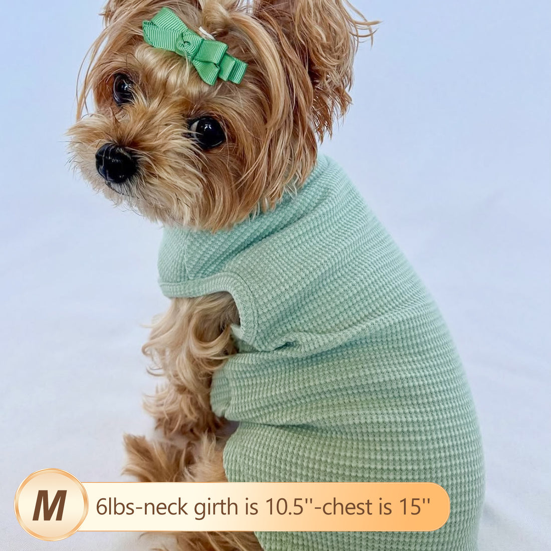 Waffle-knit dog shirt, mint green textured knit with short sleeves and collarless round neck
