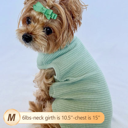 Waffle-knit dog shirt, mint green textured knit with short sleeves and collarless round neck
