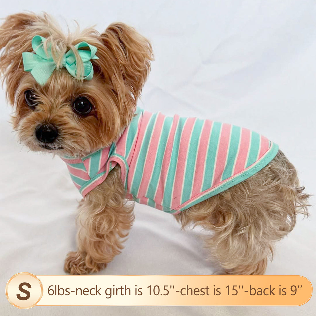 Teal-and-pink striped sleeveless lightweight dog shirt on a small dog