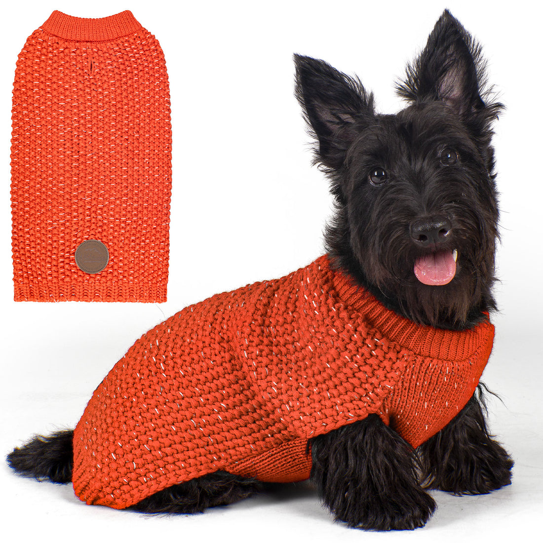 Orange dog sweater on small dog, ribbed round neck and short knit body with back patch