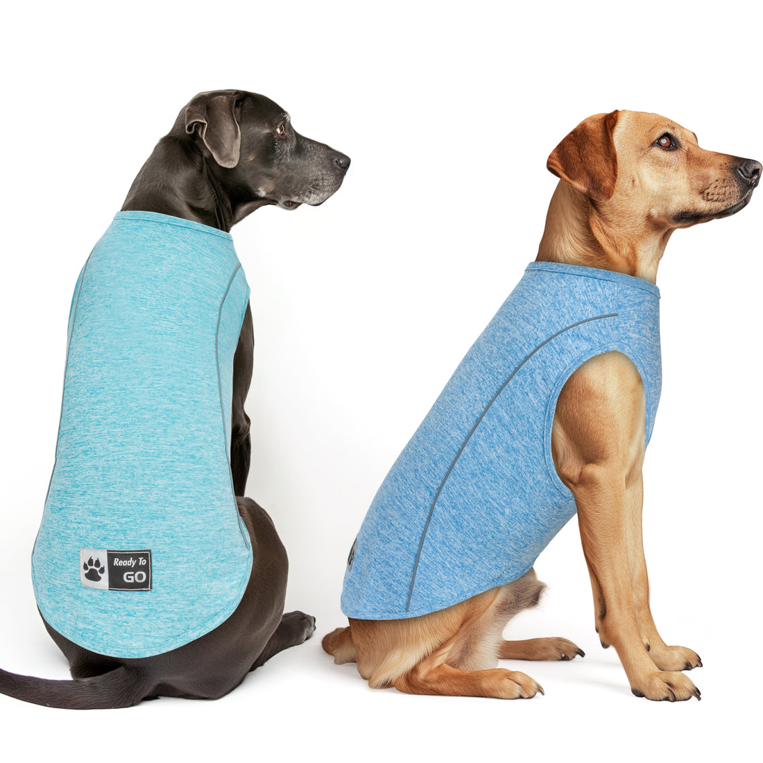 Light blue reflective sleeveless dog shirt worn by two dogs in side view