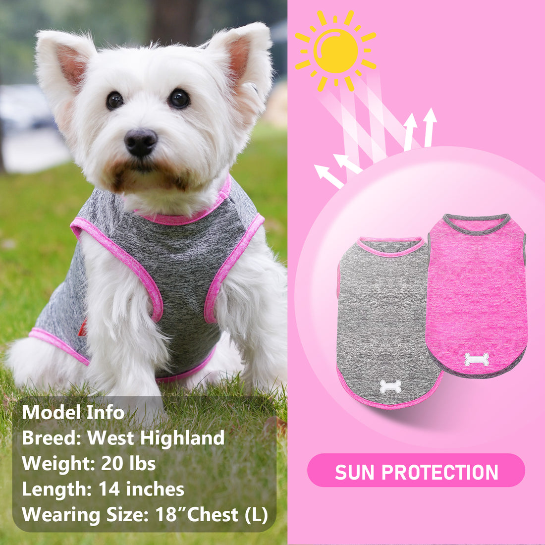 Dog in heather gray sleeveless shirt with pink trim and reflective bone