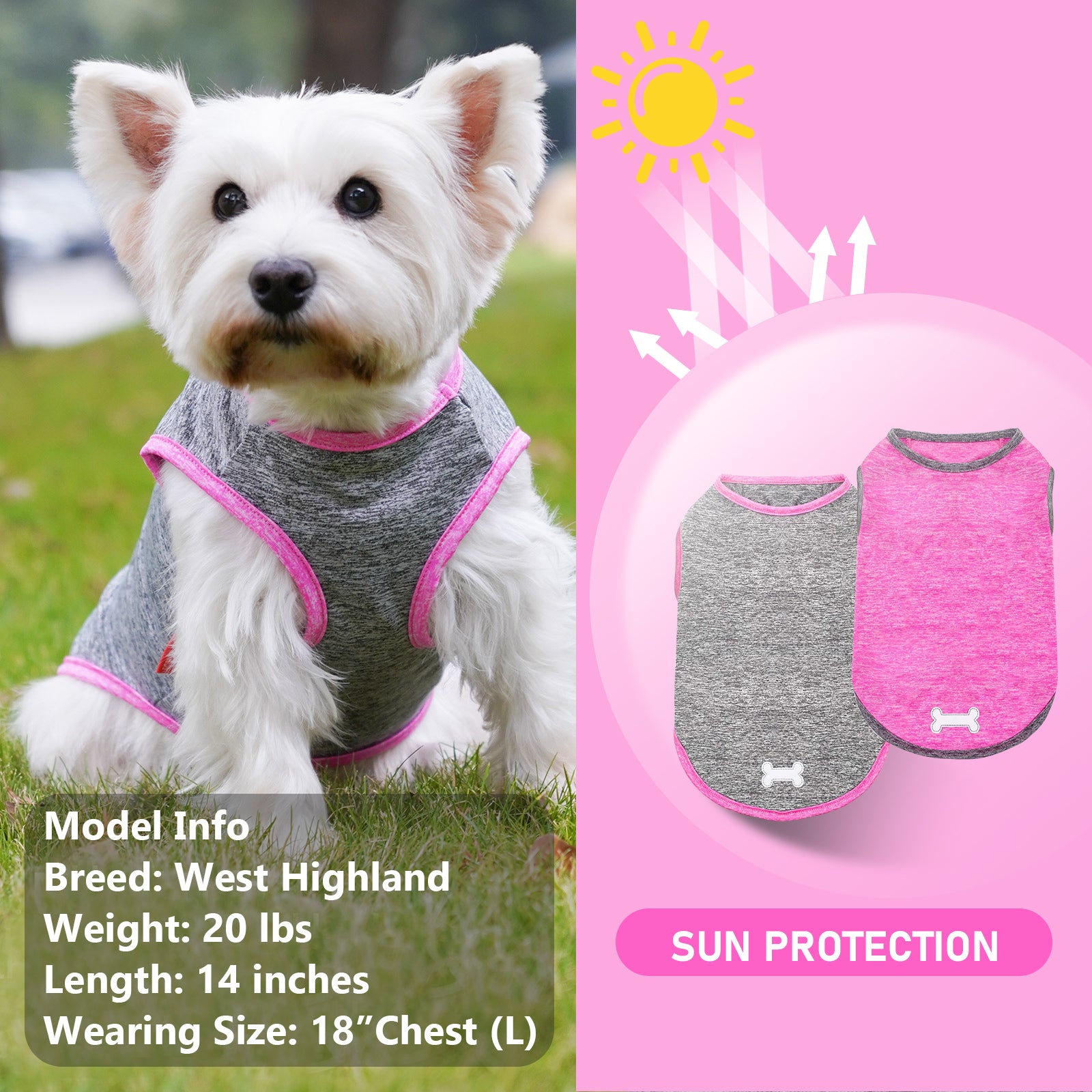 Dog in heather gray sleeveless shirt with pink trim and reflective bone