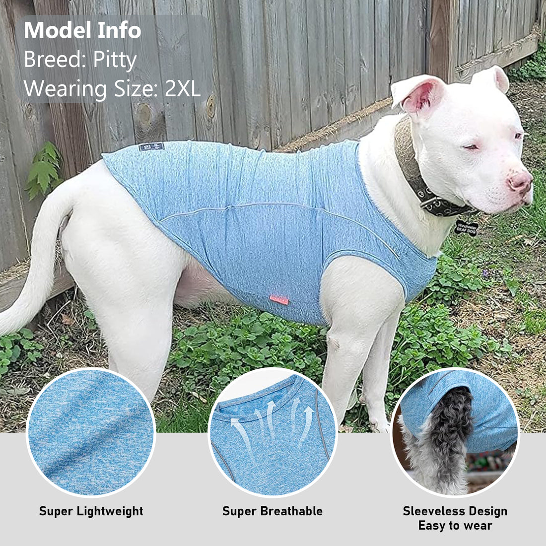 Blue sleeveless dog shirt with "Ready To Go" paw logo badge, shown with other color options