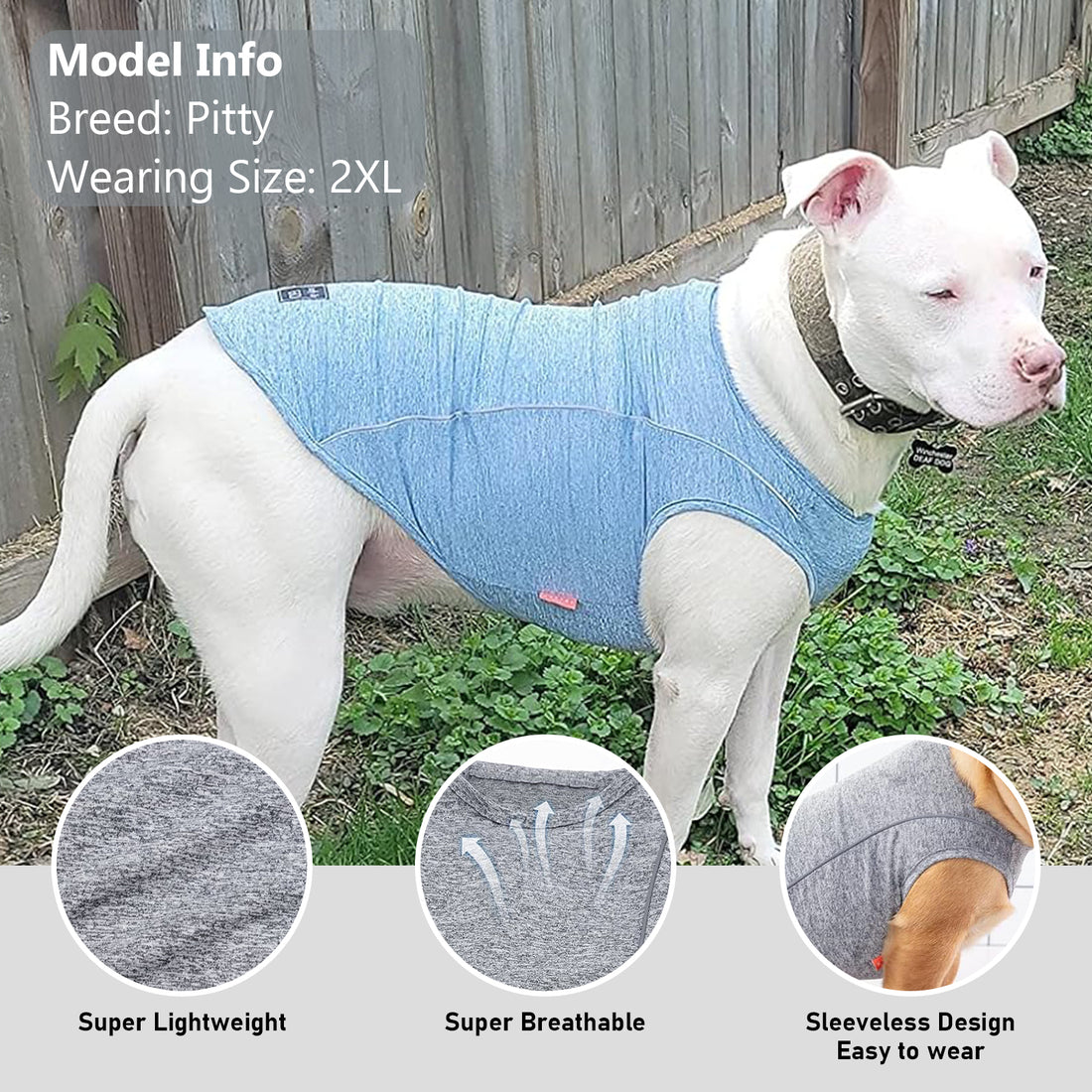 Blue sleeveless dog shirt on a white dog with "Ready To Go" paw logo badge