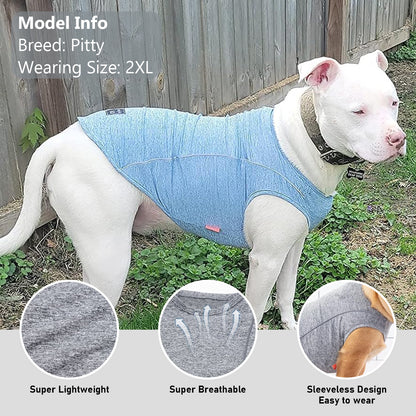 Blue sleeveless dog shirt on a white dog with “Ready To Go” paw logo badge