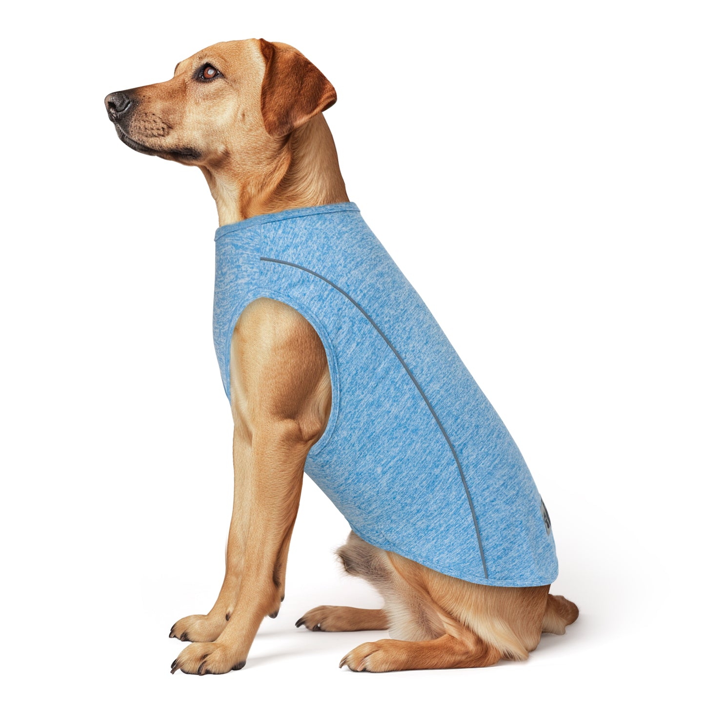 Lightweight reflective dog shirt in blue heather, short-sleeve pullover style